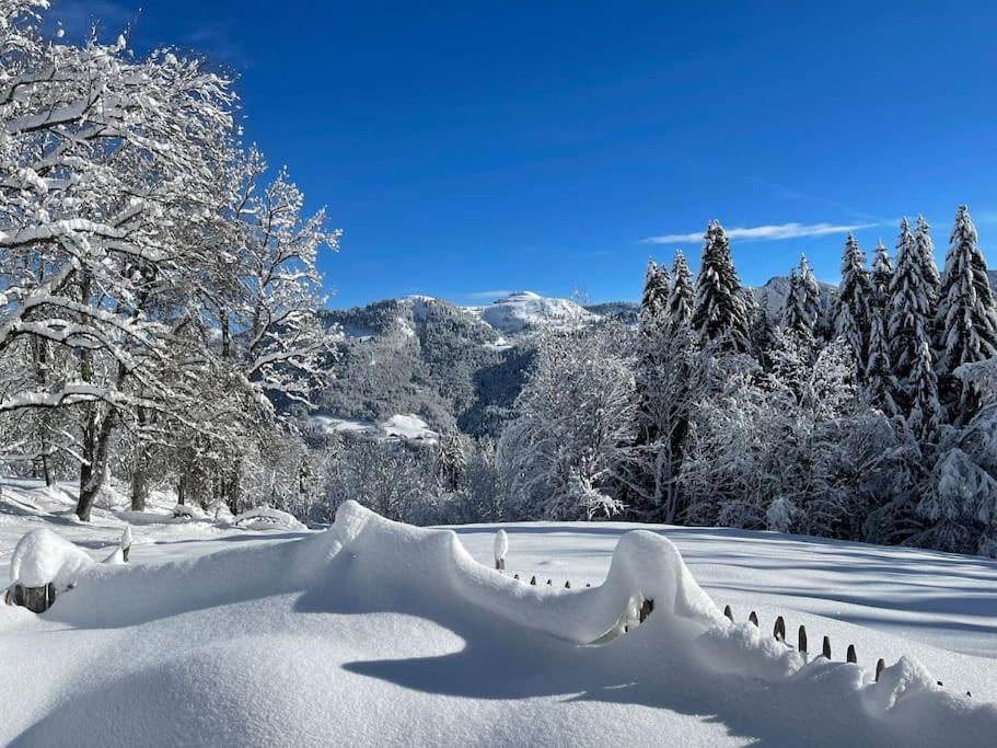 Chalet Alpage Proche Geneve Megevette Exterior foto