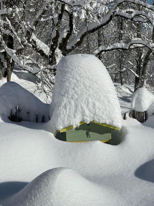 Chalet Alpage Proche Geneve Megevette Exterior foto