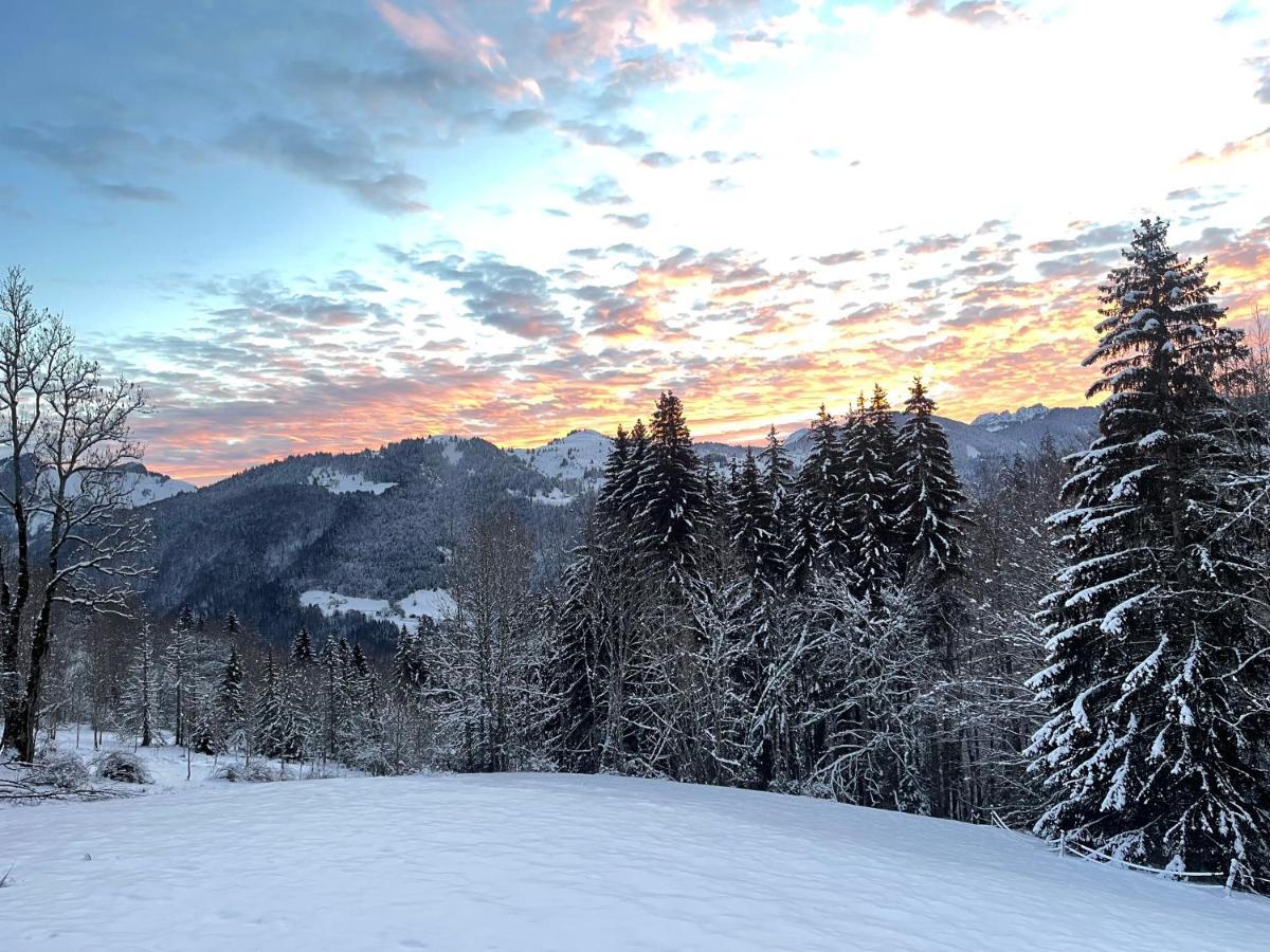 Chalet Alpage Proche Geneve Megevette Exterior foto
